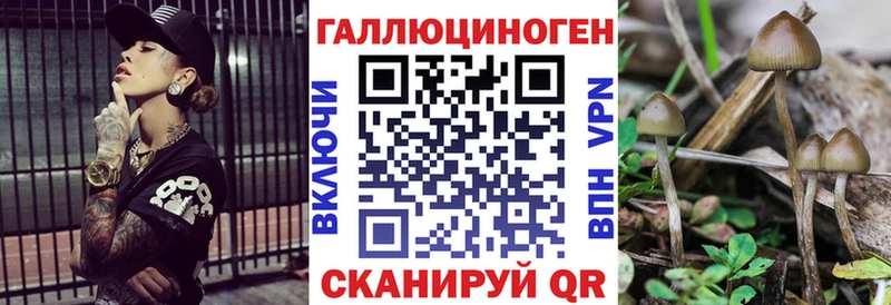 наркошоп  Лукоянов  Псилоцибиновые грибы Cubensis 