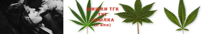 Каннабис THC 21%  Лукоянов 